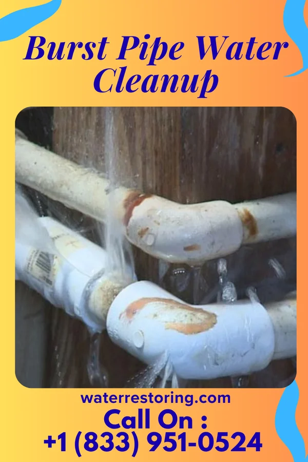 Burst Pipe Water Cleanup in Granville South, OH