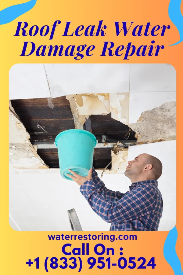 Roof Leak Water Damage Repair in Granville South, OH