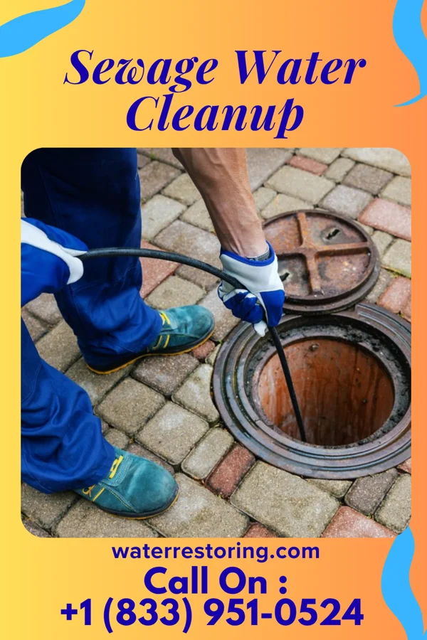 Sewage Water Cleanup in Granville South, OH