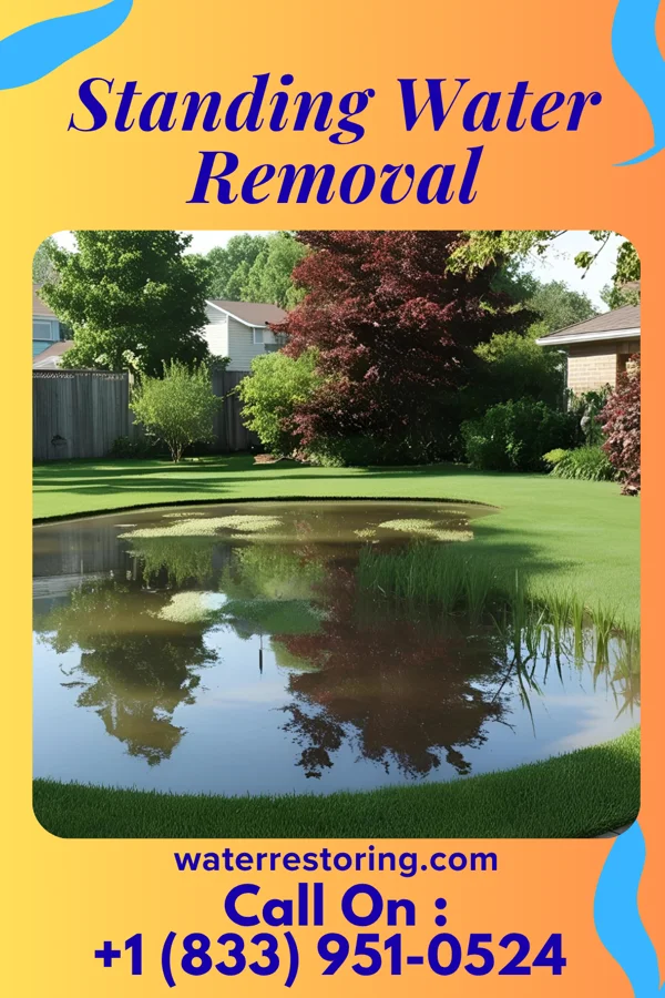 Standing Water Removal in Granville South, OH